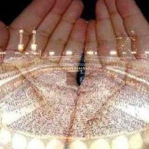 Meet your Posher, Dina